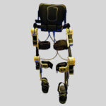large- exoskeleton